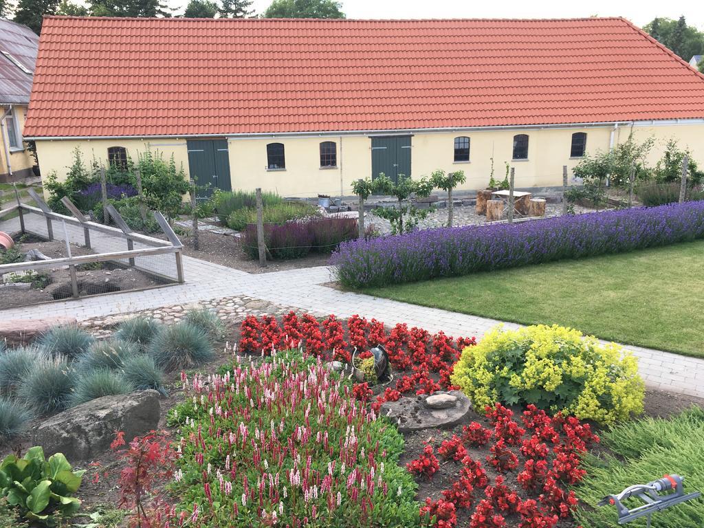 Langeskov Birkende Bed And Breakfast מראה חיצוני תמונה