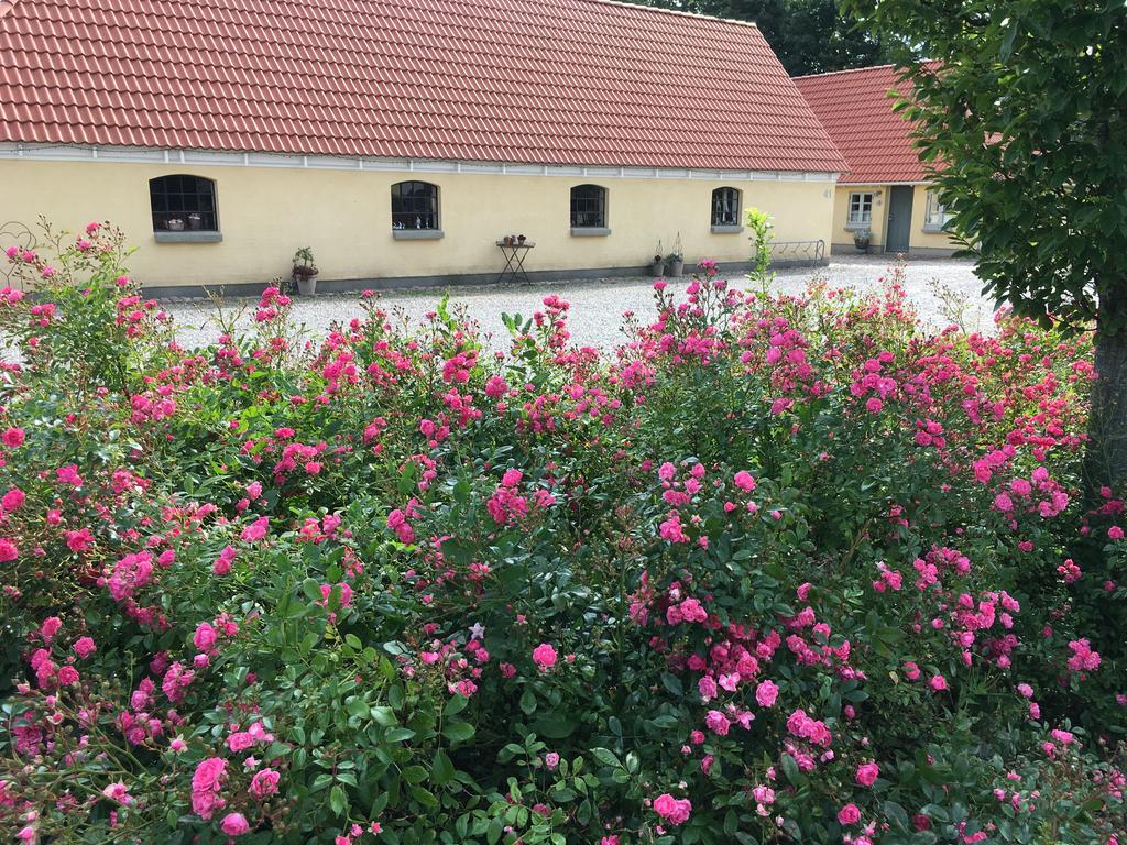 Langeskov Birkende Bed And Breakfast מראה חיצוני תמונה